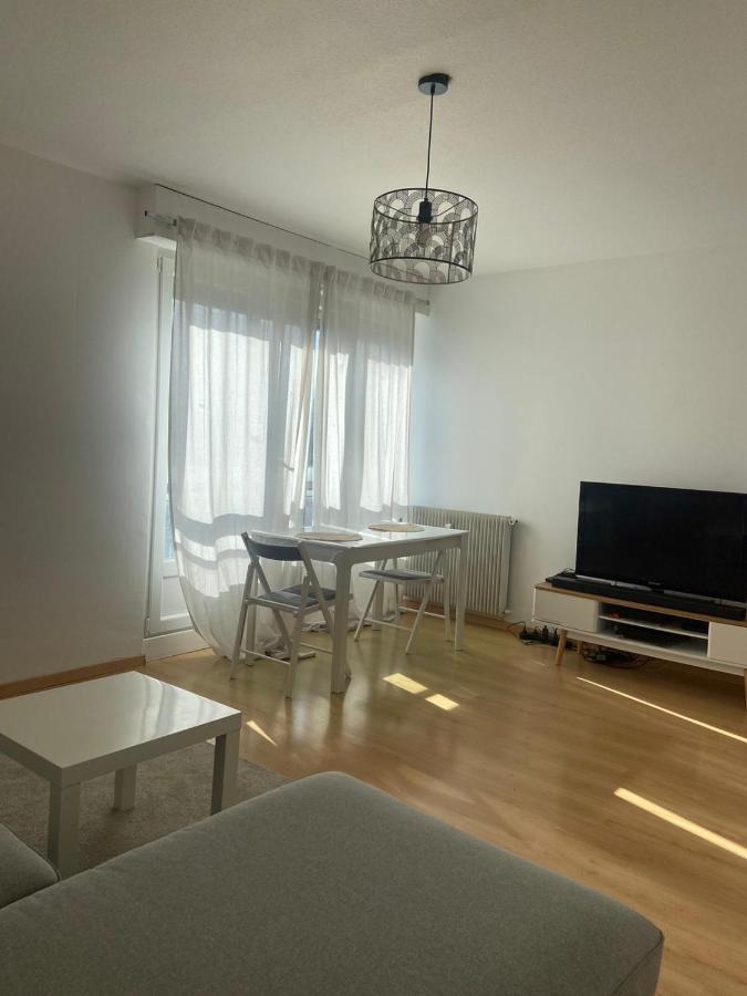 Апартаменти Grand T2 F2 Mulhouse Downtown Free Parking Екстер'єр фото